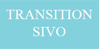 TRANSITION Organsko (plastično) fotoosjetljivo staklo, index 1,50 Sivo